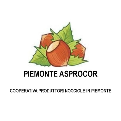 Asprocor Asprocor S.C.C.A.P.A - associato al Consorzio Tutela Nocciola Piemonte IGP