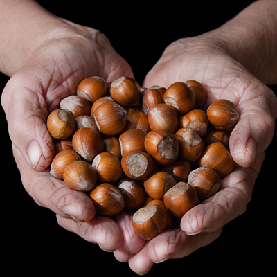 Tutela della Nocciola Piemonte IGP